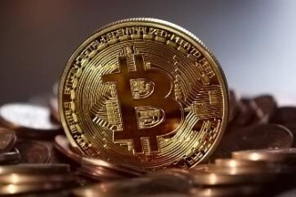 全球顶尖柚子币冷钱包哪些上榜？正规官方柚子币冷钱包用户量排名