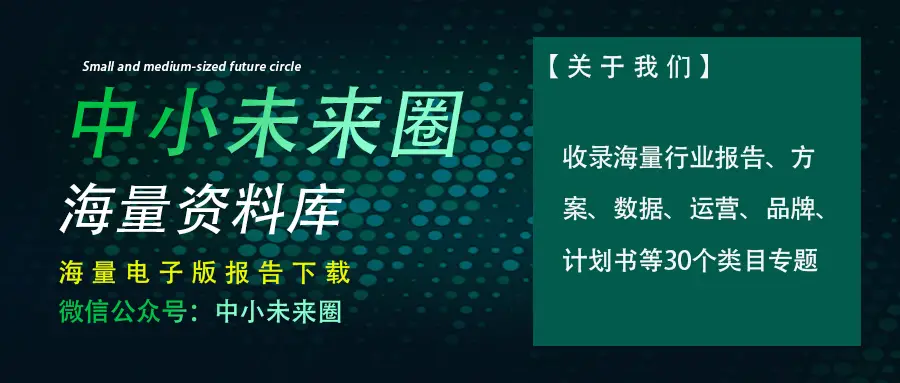 2024年全球支付报告：剖析全球支付格局及未来趋势