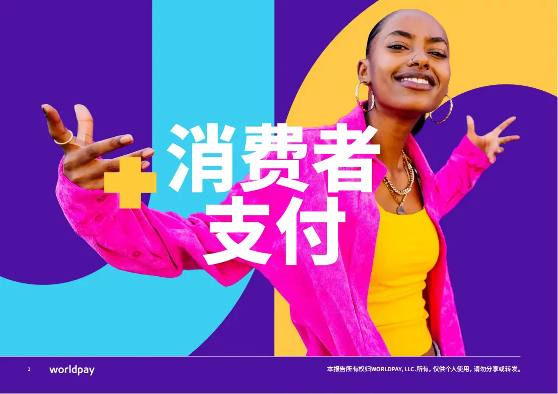 全球货币使用占比_全球数字货币发展现状_全球主要数字货币的使用情况报告