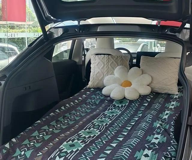 特斯拉Model Y，从选车到用车8个月的真实分享！-有驾