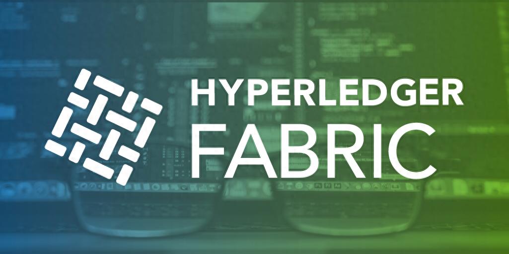 深入了解Fabric：开源企业级分布式账本技术平台及其行业应用