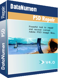 DataNumen PSD Repair 4.0 盒装射击